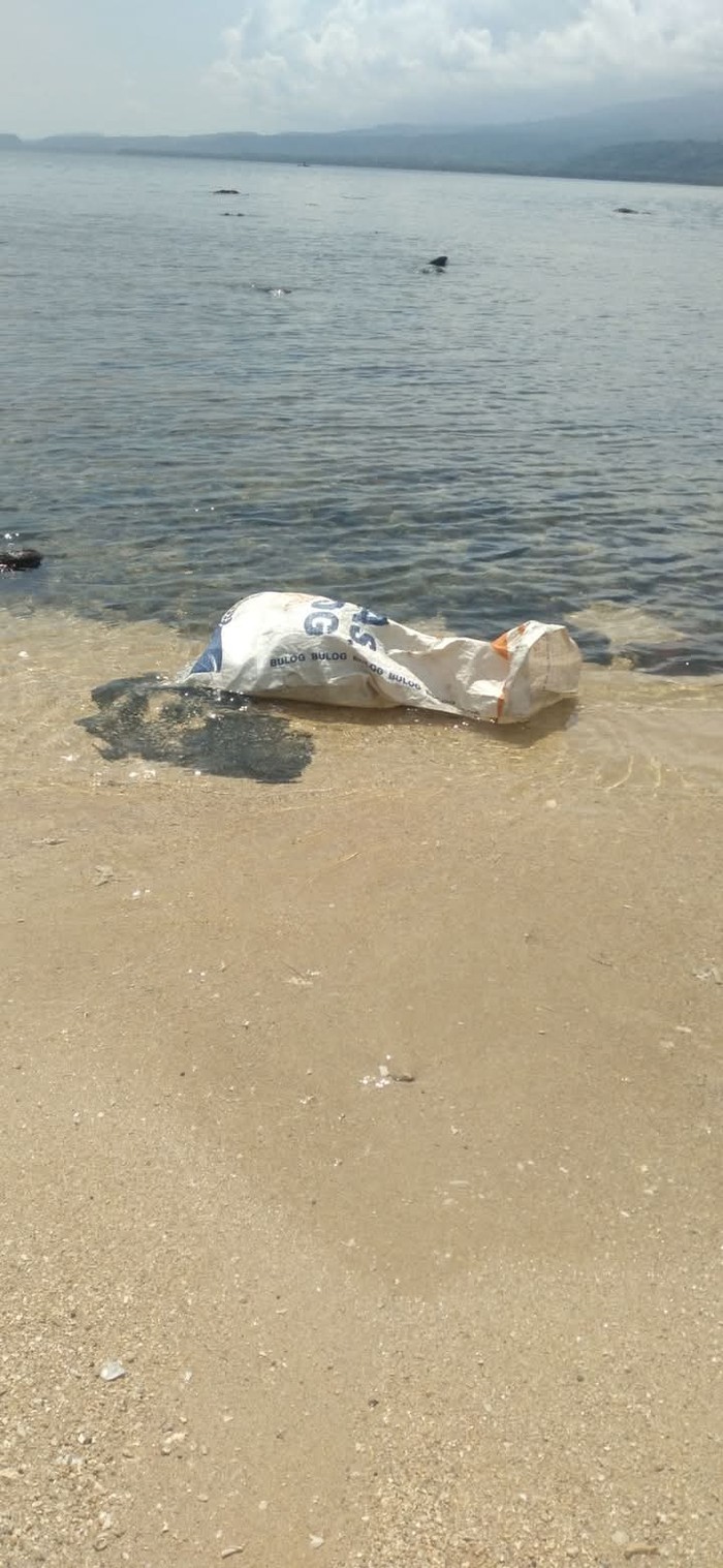 Video bangkai babi dalam karung yang dibuang warga ke laut Flores Timur, Nusa Tenggara Timur (NTT), viral di media sosial. (Foto: Istimewa)