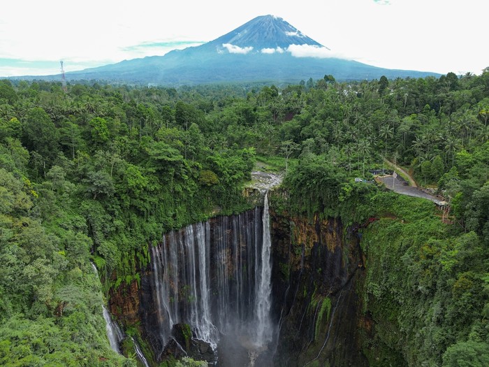 Foto udara destinasi wisata Grojogan Sewu di Desa Sidomulyo, Kecamatan Pronojiwo, Kabupaten Lumajang, Jawa Timur, Selasa (11/3/2025). Bupati Lumajang menutup sementara wisata Grojogan Sewu sejak Minggu (9/3) untuk meningkatkan keamanan pengunjung, menata kembali sistem pengelolaan wisata, serta memastikan kepatuhan terhadap regulasi yang berlaku agar bebas dari praktik pungutan liar yang dapat merugikan wisatawan maupun masyarakat sekitar. ANTARA FOTO/Irfan Sumanjaya/foc.