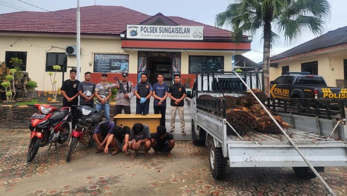 Empat pencuri sawit bersenpi di Bangka Tengah saat diamankan polisi