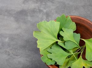 5 Herbal Ini Bantu Jaga Fokus Saat Berpuasa, Salah Satunya Ginkgo Biloba