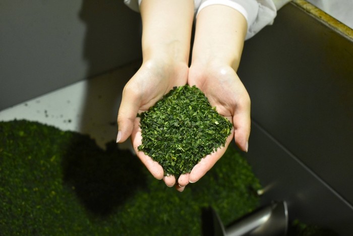 Kacau! Jepang Alami Kelangkaan Matcha, Produsen Bingung