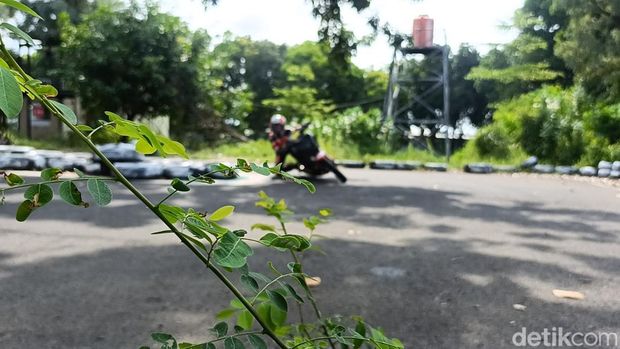 Pembalap cilik ngabuburit