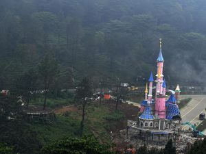 Terpopuler: Bos PTPN Akui Lalai dalam Kelola Lahan di Puncak
