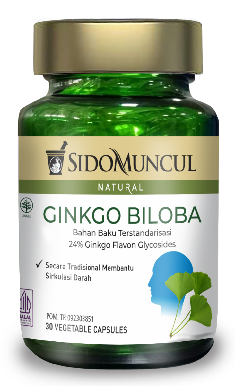 Sido Muncul Ginkgo Biloba