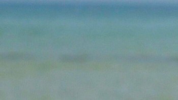 Hore aku dapat ikan. Foto: Boredpanda