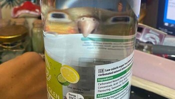 Cilukba! Foto: Boredpanda