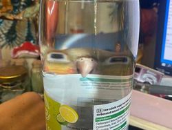 Kelakuan Absurd Hewan Bikin Ngakak