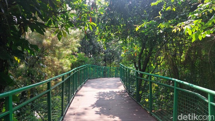 Forest Walk Babakan Siliwangi, salah satu tempat ngabuburit gratis di Bandung