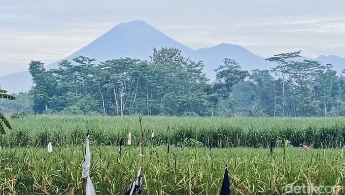 Gunung Semeru Lumajang.
