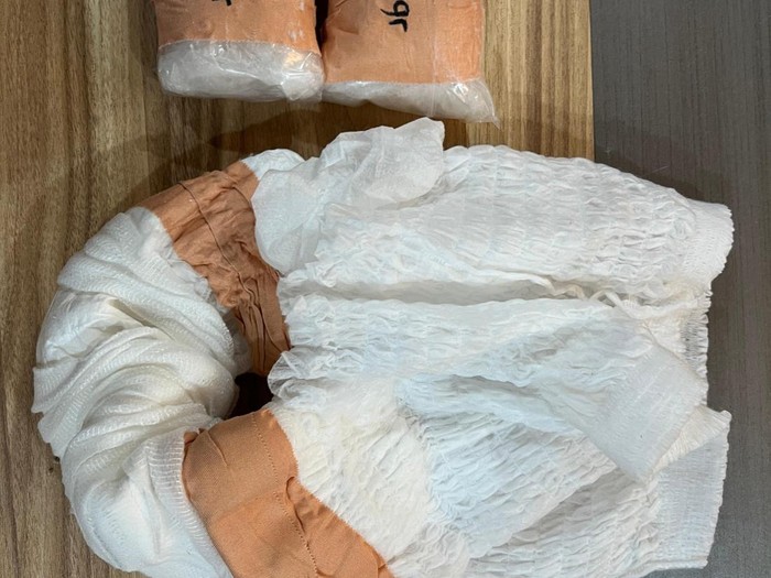 Inisial PG saat diamankan petugas Bea Cukai Batam.