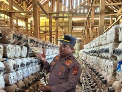 Ipda Sunaryo Kembangkan Budidaya Jamur hingga Bantu Pemekaran Desa di Sarolangun