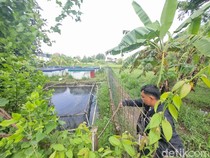 Ngeri! Pria Ponorogo Tembak Bocah yang Mancing di Kolam Ikannya