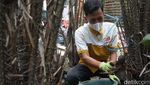Salak Jadi Olahan Khas Jombang yang Laris Manis untuk Lebaran
