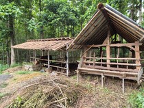 Lagi! Maling Ternak Beraksi di Kulon Progo, 6 Kambing Raib