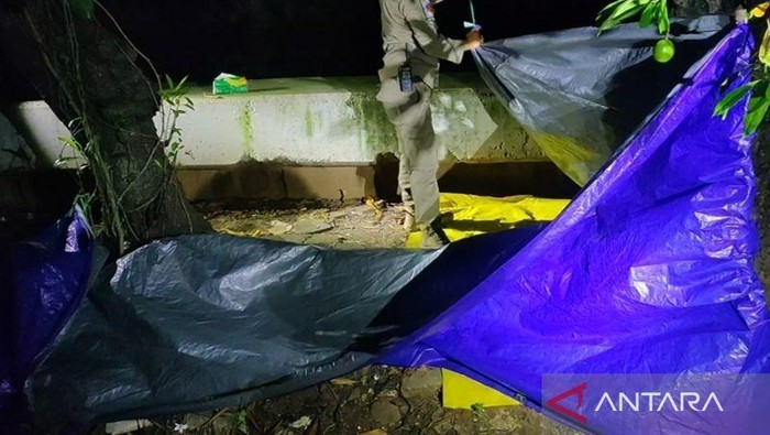 Petugas Satuan Polisi Pamong Praja (KasatPol PP) Jakarta Barat membongkar tenda-tenda kaget tempat berlangsungnya prostitusi liar di RTH Tubagus Angke, Grogol Petamburan, Jakarta Barat, Selasa (11/3/2025) malam. (ANTARA/Risky Syukur)