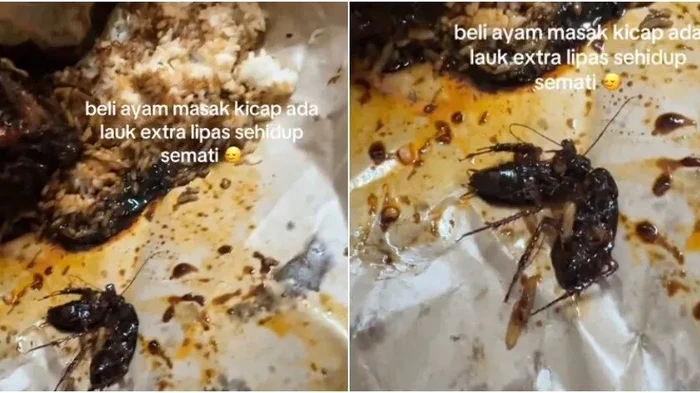Apes! Beli Nasi Rames Wanita Ini Dapat Bonus Lauk Kecoak