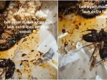 Apes! Beli Nasi Rames Wanita Ini Dapat Bonus Lauk Kecoak