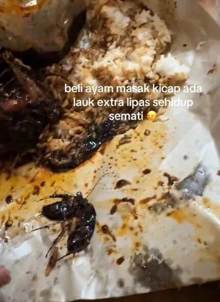 Apes! Beli Nasi Rames Wanita Ini Dapat Bonus Lauk Kecoak
