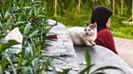 Asyiknya Ngabuburit di Taman Koja Jakarta