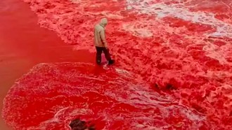 Viral Laut Iran Jadi Merah Darah, Tanda Akhir Zaman? Ini Faktanya