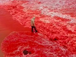 Viral Laut Iran Jadi Merah Darah, Tanda Akhir Zaman? Ini Faktanya