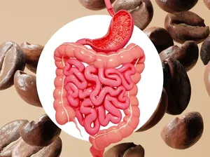 Peneliti Temukan Bakteri Baik pada Kopi yang Sehatkan Usus