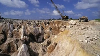 Bagi Nauru, program ini merupakan kesempatan untuk mengamankan masa depan pulau ini, yang memiliki sejarah kelam. Nauru ditambang untuk mendapatkan fosfat sejak awal tahun 1900-an (Foto: CNN)
