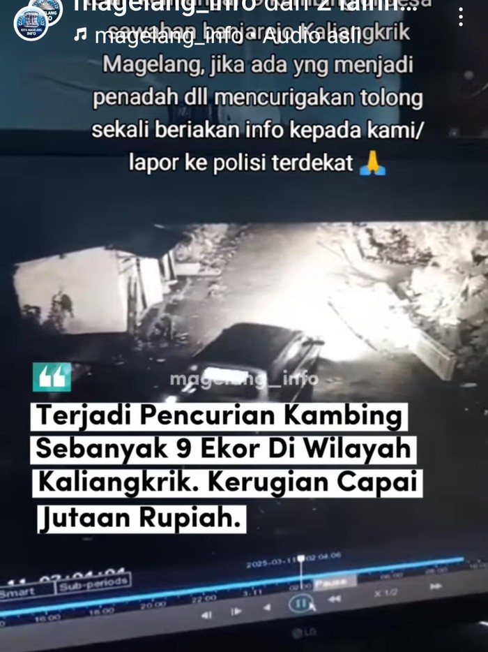 Tangkapan layar Instagram memperlihatkan mobil yang diduga membawa ternak curian melintas di Kaliangkrik, Magelang. Foto diunggah Kamis (13/3/2025).