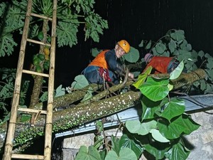 Puluhan Rumah di Ciamis Rusak Diterjang Hujan dan Angin Kencang