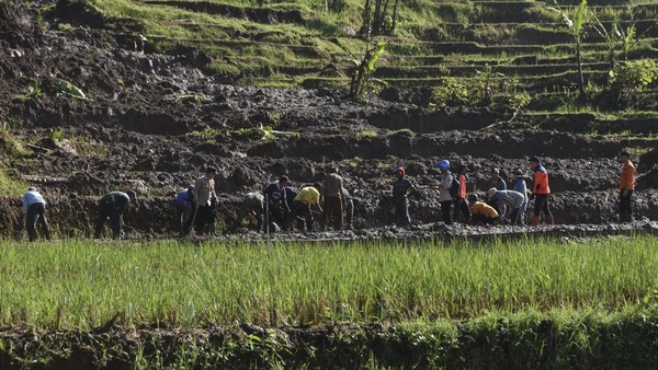 Jalur Alternatif Mudik Lebaran di Ciamis Tertimbun Tanah Longsor
