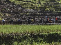 Jalur Alternatif Mudik Lebaran di Ciamis Tertimbun Tanah Longsor
