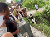 Pemotor Nyemplung Selokan 6 Meter di Kulon Progo, Motor Remuk