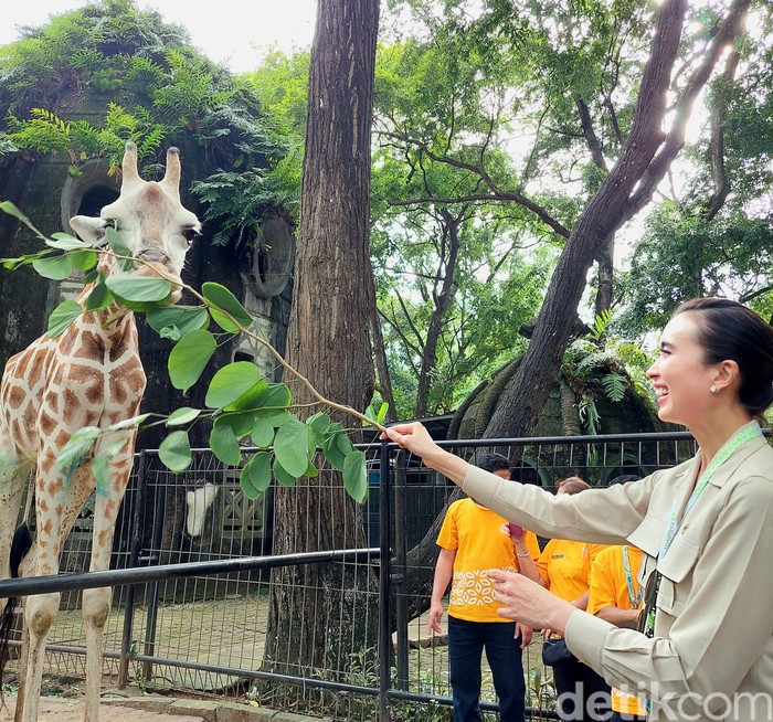 Menpar Widiyanti meninjau kesiapan Ragunan menyambut libur Lebaran 2025