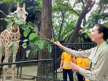 Menpar Widiyanti Kunjungi Ragunan, Tinjau Kesiapan Libur Lebaran