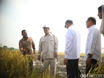 Panen Gabah di Gresik, Mentan Amran Ungkap Terima Kasih Petani ke Prabowo