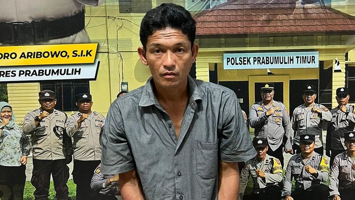 Pria di Prabumulih ditangkap polisi karena mencuri ribuan  buah nanas milik warga