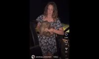 Selebgram AS Diduga Culik Bayi Wombat di Australia, Kecaman Meluas Hingga Ancaman Hukum