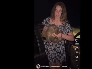 Selebgram AS Culik Bayi Wombat, Australia Murka: Terancam Dilarang Masuk