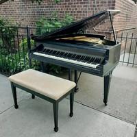 Uniknya Warga New York, Buang Barang Berharga Piano Sampai Motor!