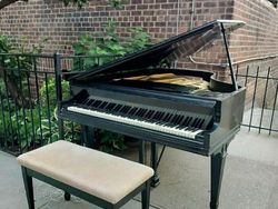 Tradisi Unik New York, Buang Barang Berharga dari Piano Sampai Motor!
