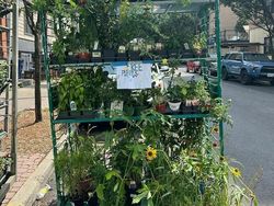 Tradisi Unik New York, Buang Barang Berharga dari Piano Sampai Motor!