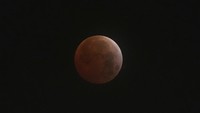 Gerhana bulan total ini akan terlihat di seluruh dunia pada waktu universal yang sama, pemandangan terbaik untuk melihat blood moon akan berada di Amerika Utara dan Selatan.