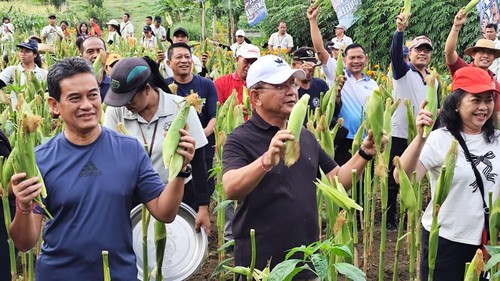 Bupati dan Wabup Buleleng, I Nyoman Sutjidra-Gede Supriatna (Sutjidra-Supriatna) memanen jagung arumba di Taman Kota Singaraja, Sabtu (15/3/2025). (Dok. Pemkab Buleleng)