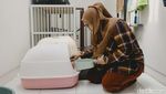 Cat Sitter Siap Mengasuh Anabul Anda
