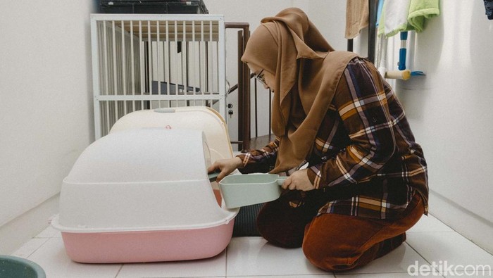 Desti Prihati Ningrum adalah seorang perempuan yang menemukan panggilan hidupnya dalam merawat kucing. Ini merupakan sebuah profesi yang ia tekuni sejak tahun 2022 sebagai cat sitter.