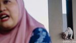 Cat Sitter Siap Mengasuh Anabul Anda