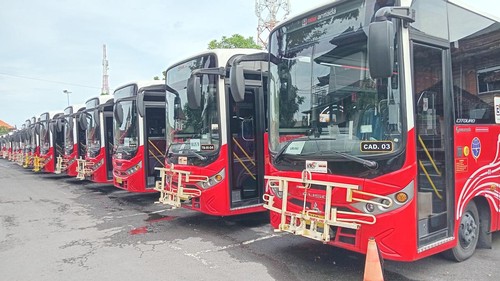 Deretan bus TMD di Terminal Ubung, Denpasar, Sabtu (15/3/2025). (Aryo Mahendro/detikBali)