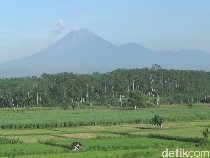 Gunung Semeru Erupsi 2 Kali Pagi Ini