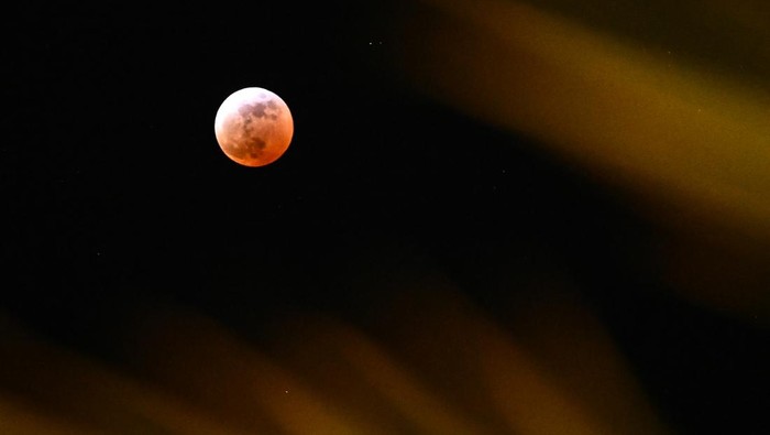 A partial lunar eclipse is seen above the fronds of a palm tree during the Blood Moon Lunar Eclipse in Palm Springs, California, on March 13, 2025. (Photo by Patrick T. Fallon / AFP)