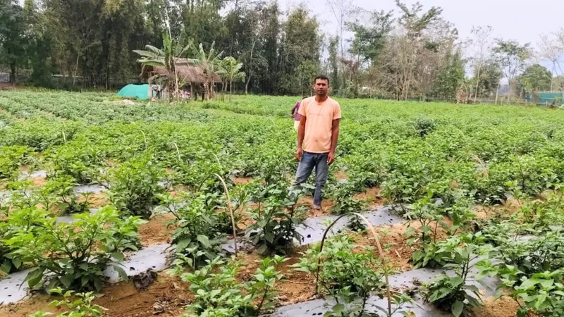 Cuan! Petani Semangka dan Cabai Raup Untung Rp 7,5 Juta Tiap Panen